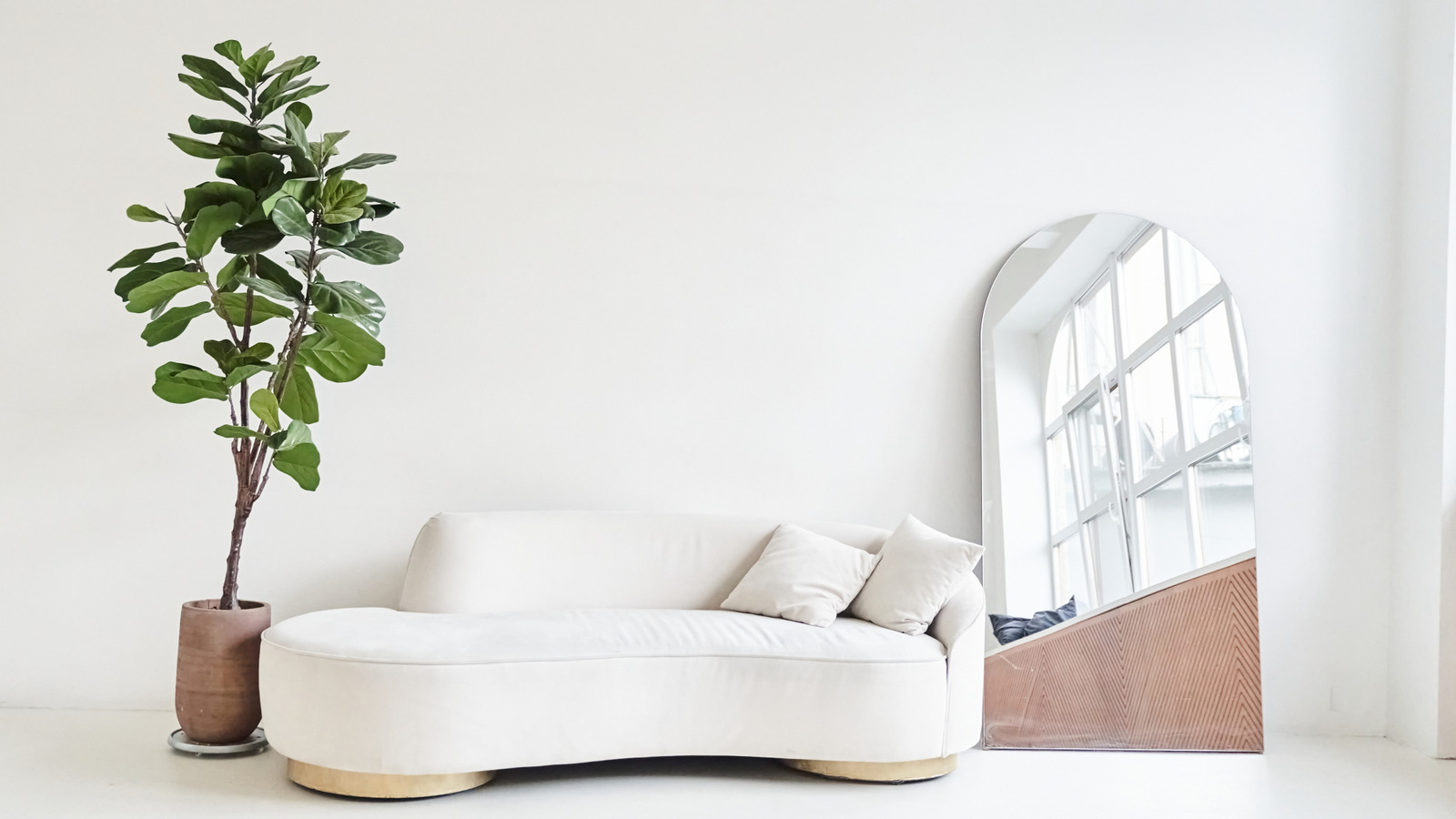 <a href="https://www.foodrepublic.com/2014893/how-to-grow-fig-tree-indoors/" target="_blank">Here’s How To Grow A Fig Tree Indoors – Without It Dying</a>