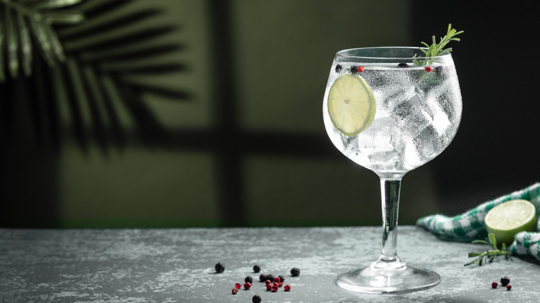 A gin tonic cocktail.