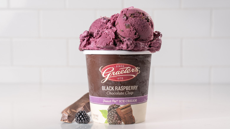 A pint of Graeter's Black Raspberry Chocolate Chip ice cream sits against a white background
