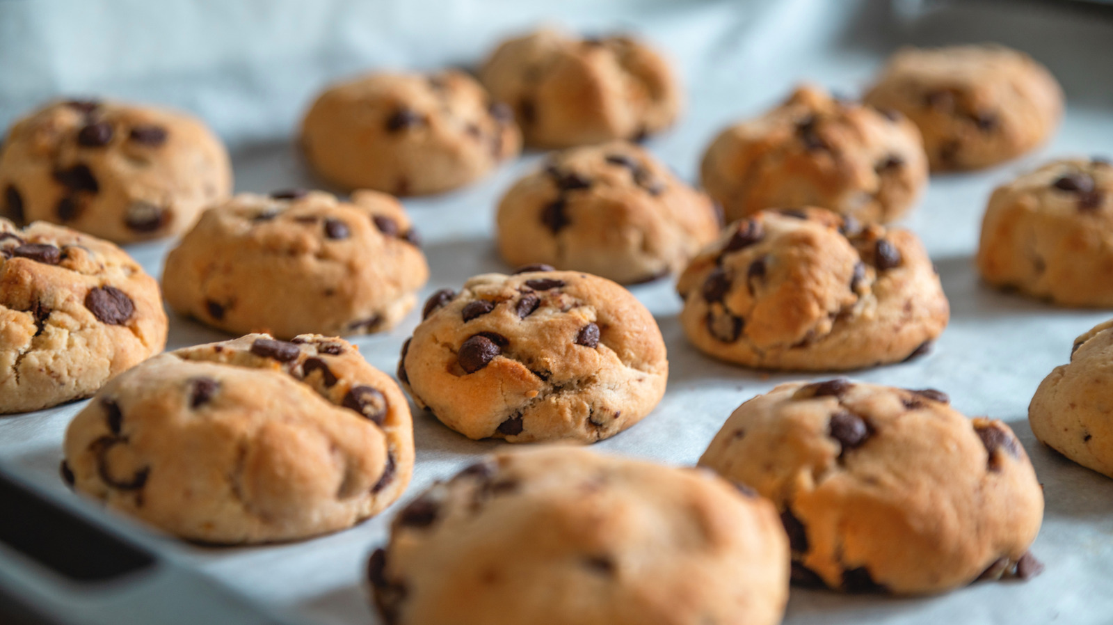 <a href="https://www.foodrepublic.com/1758728/butter-swap-vegan-cookies/" target="_blank">Here’s What You Can Use Instead Of Butter For Perfect Vegan Cookies</a>