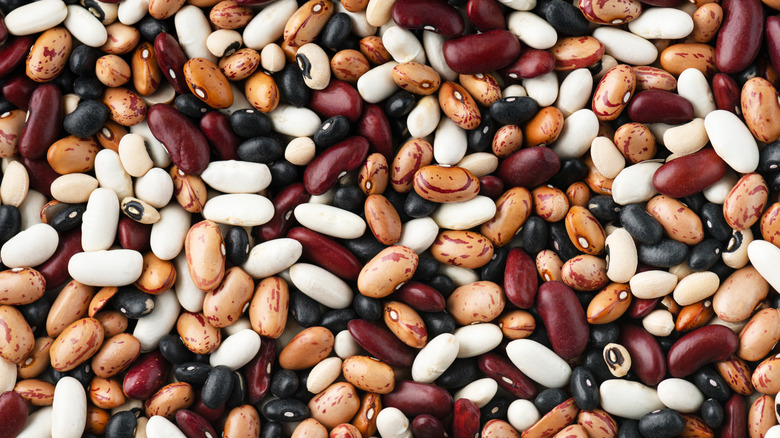 Many dried beans