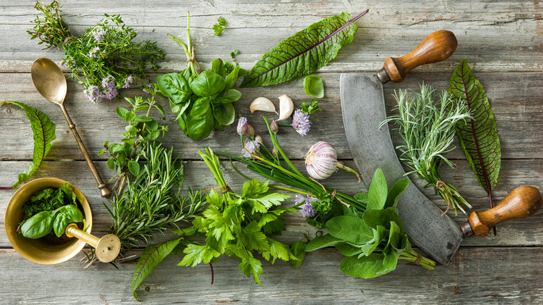 Fresh green herbs on table