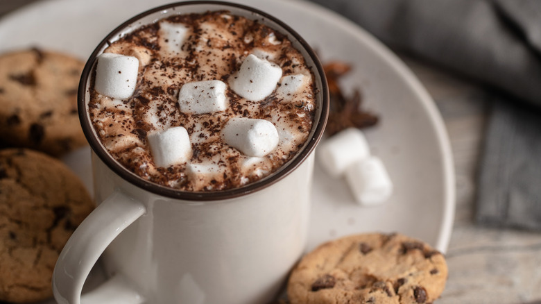 Cup of hot chocolate with cookies
