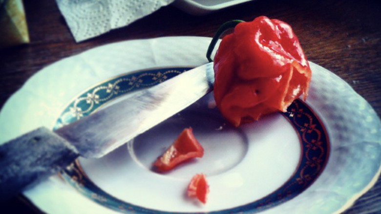 A red Infinity Chili sliced on a plate