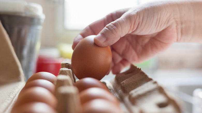 A hand removes a brown egg from a carton