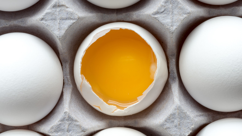A white egg with the top of the shell removed, revealing the yoke, sits in a carton amid unbroken white eggs