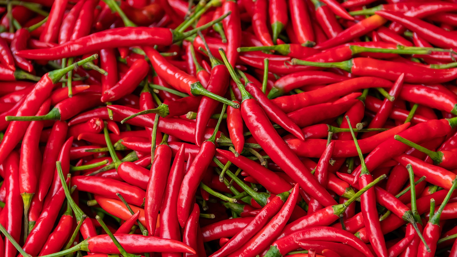 <a href="https://www.foodrepublic.com/2060154/how-scoville-units-measured-peppers/" target="_blank">How Are Scoville Units Actually Measured To Rank The Hottest Peppers?</a>