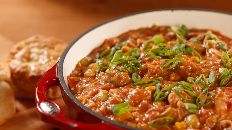 Camp stew garnished with green onion