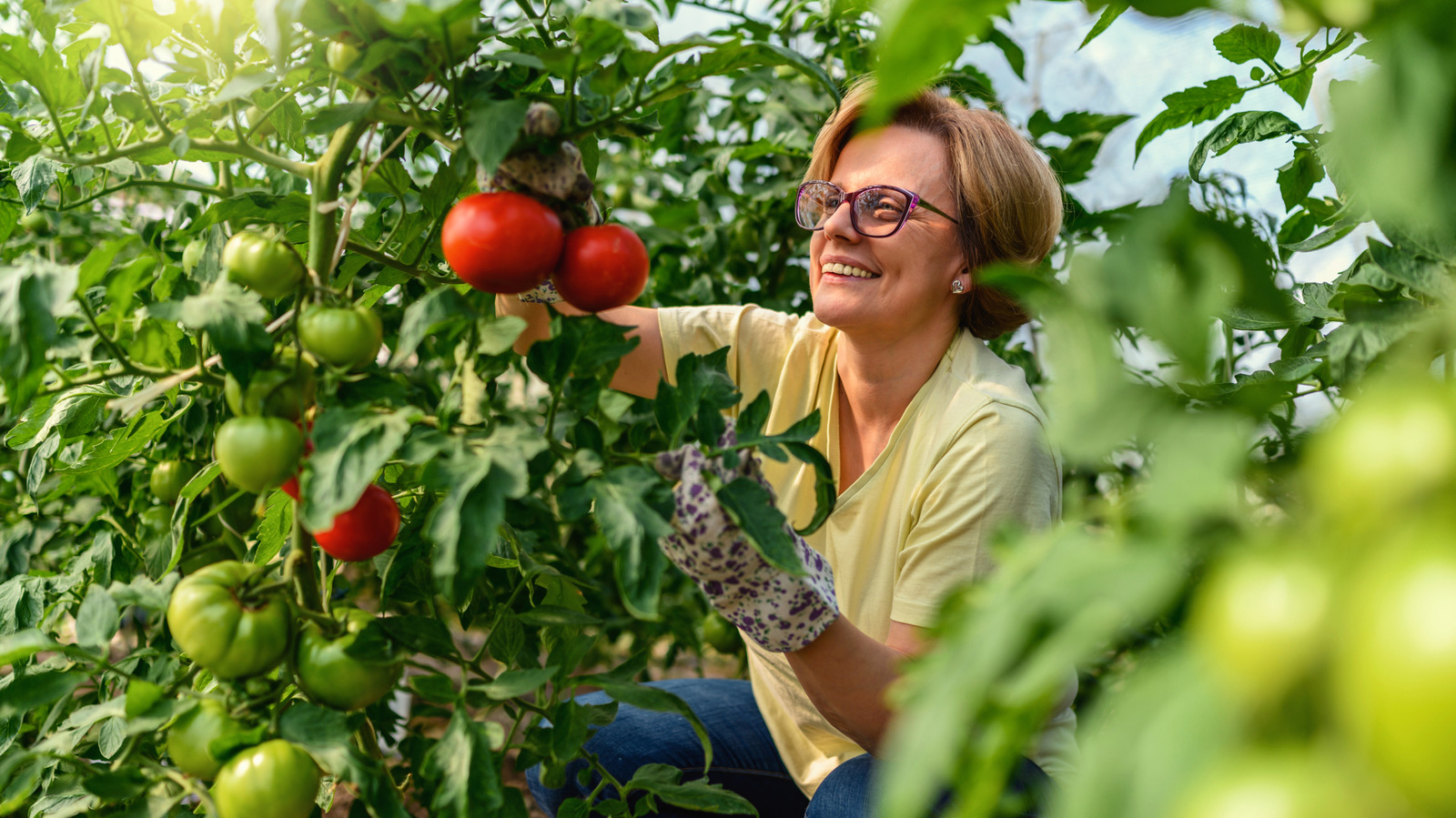 <a href="https://www.foodrepublic.com/2093142/cayenne-pepper-protect-garden-animals/" target="_blank">How Cayenne Pepper Helps Keep Unwanted Guests Out Of Your Garden</a>