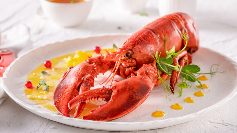 Elegantly plated lobster dinner.