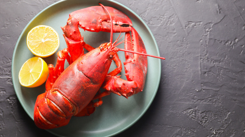 Lobster and lemon halves on a plate.