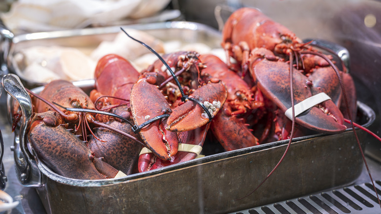 Lobsters for sale.