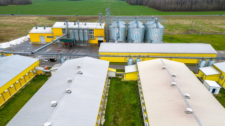 A broiler plant features large chicken coops and feed silos