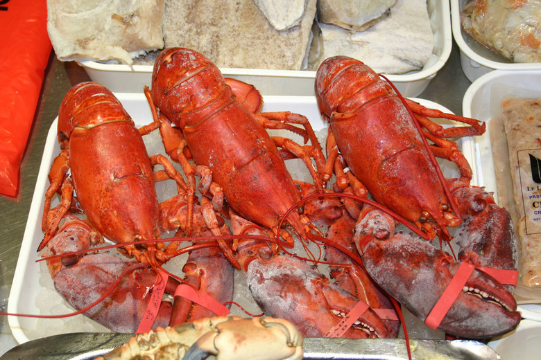 How Does The Lobster Glut Affect You?