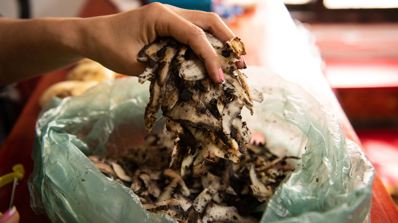 Woman readying potato peels for composting