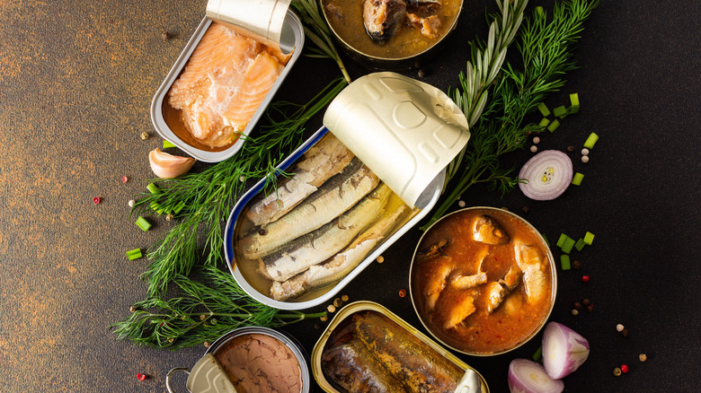 different canned meats and fish on brown background