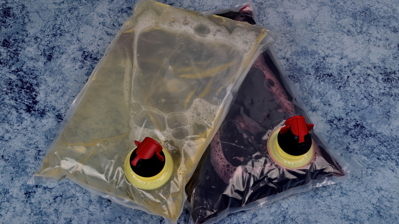 Two plastic bags of wine