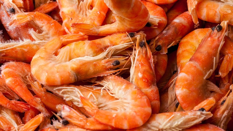 pile of cooked whole shrimp