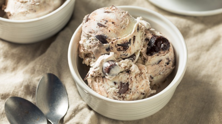 Bowl of moose tracks ice cream
