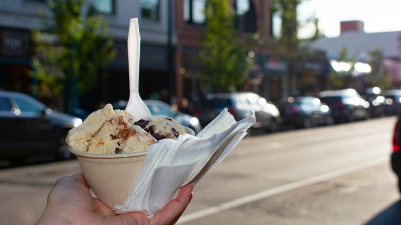 Bowl of vanilla and fudge ice cream 