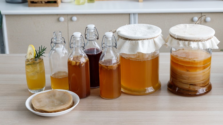 Home brewed bottles and jars of kombucha