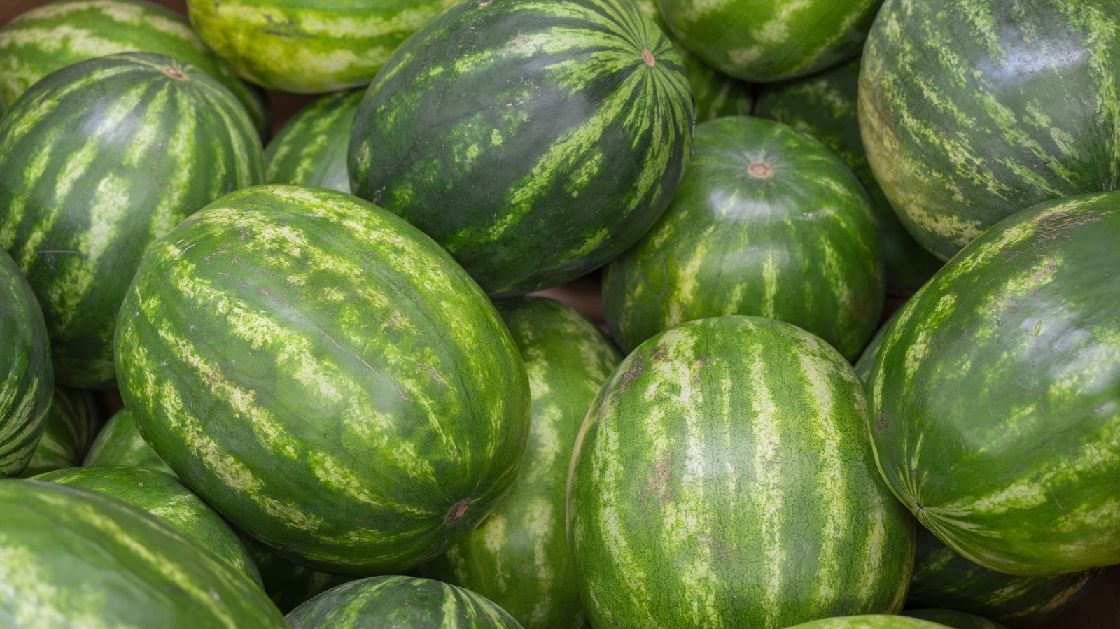 FoodWireDaily — How Much Protein An Entire Watermelon Has