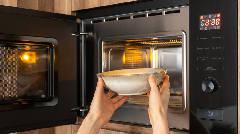 A pair of hands putting a bowl into a microwave.
