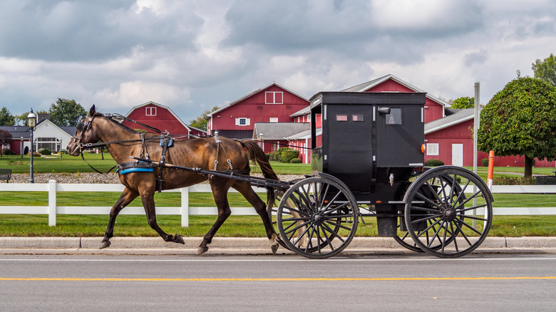 A horse pulls an Amish buggy along a road
