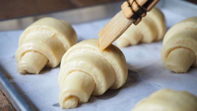 brushing egg wash on unbaked croissants