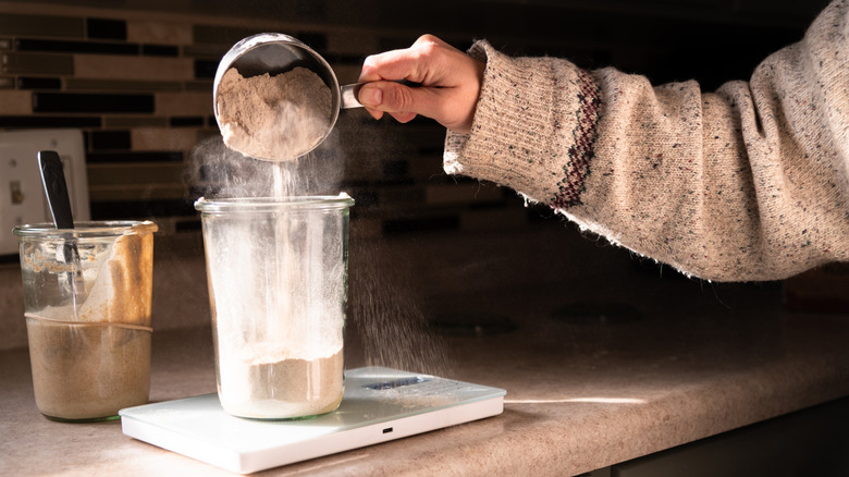 person feeding sourdough starter some fresh flour