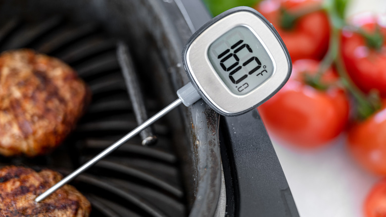 Food thermometer testing meat temperature
