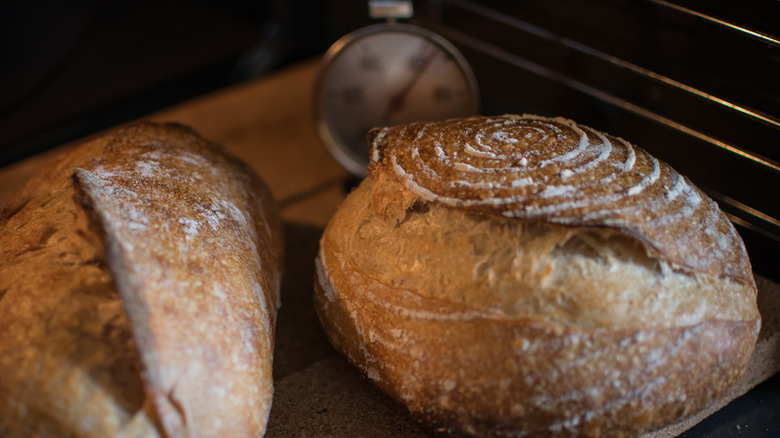 Bread loaves on oven rack next to thermometer
