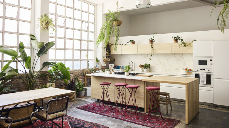 A plant-filled kitchen is filled with natural sunlight from a huge window on the left