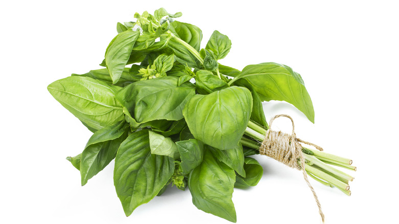 bundle of fresh basil