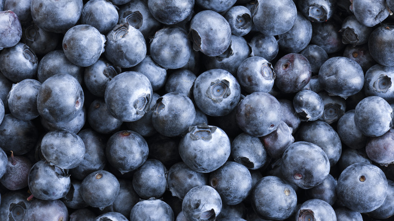 assortment of fresh blueberries