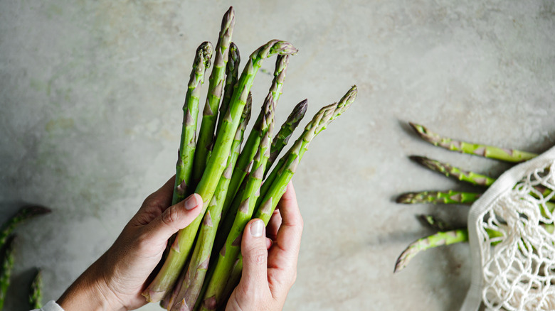 Person holding a bunch of asparagus