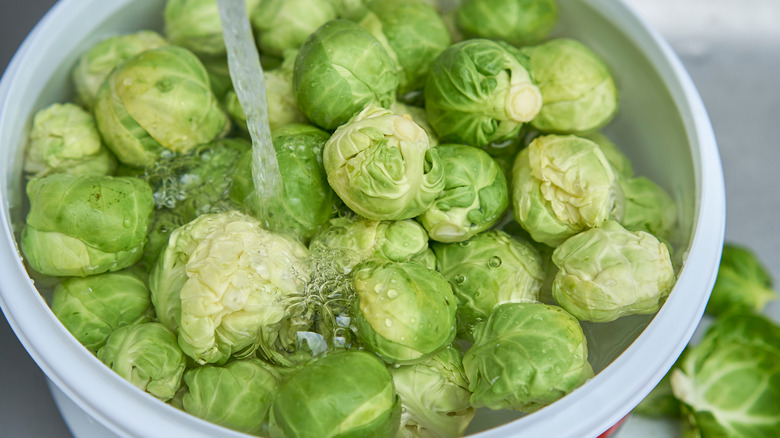 brussels sprouts soaking in bowl of water