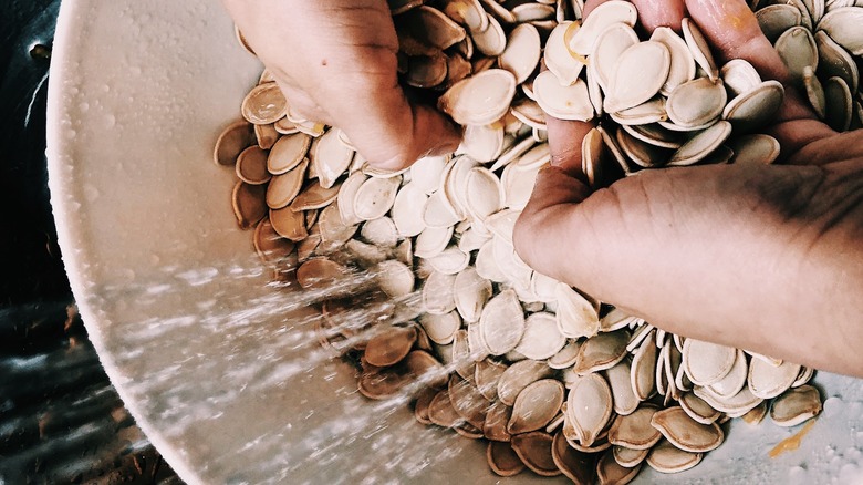 rinsing raw pumpkin seeds with water