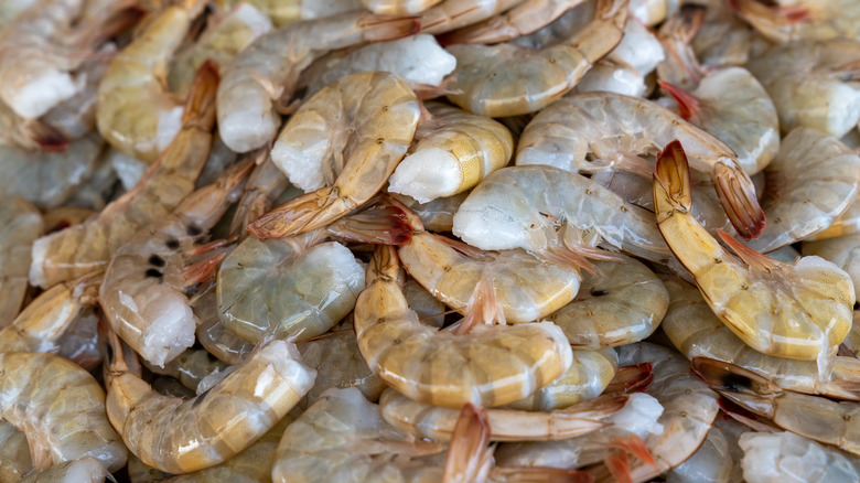 frozen, headless tiger shrimp