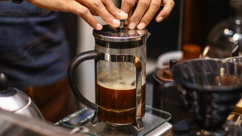 barista plunging a French press