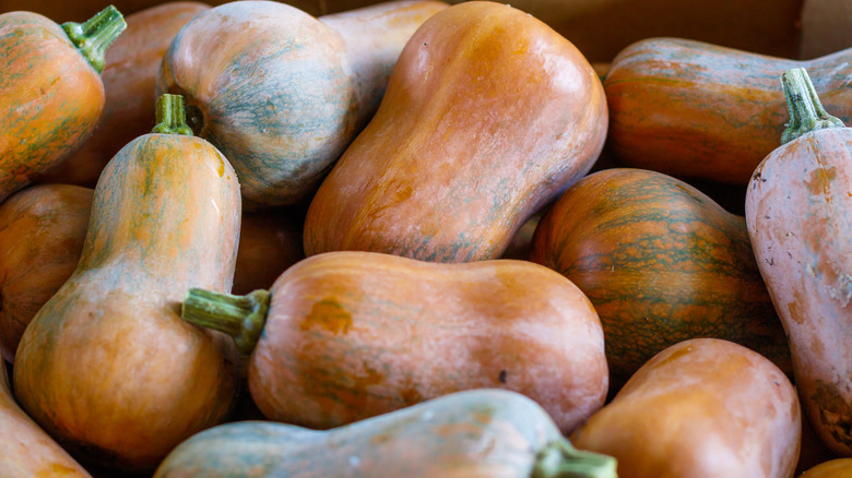 Honeynut squash at the market