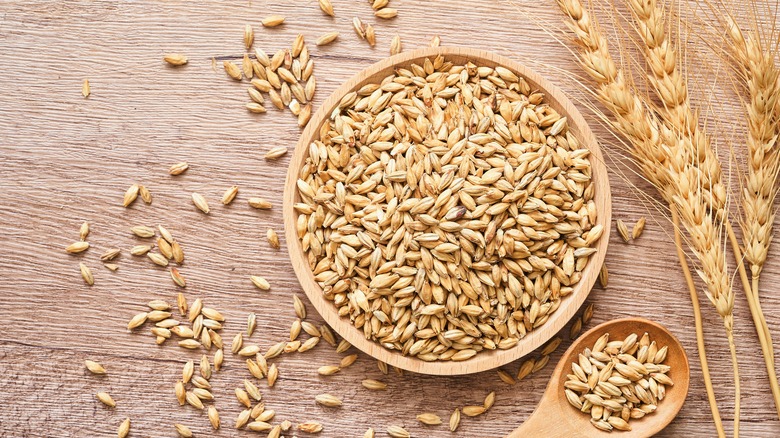 Barley and barley stalks