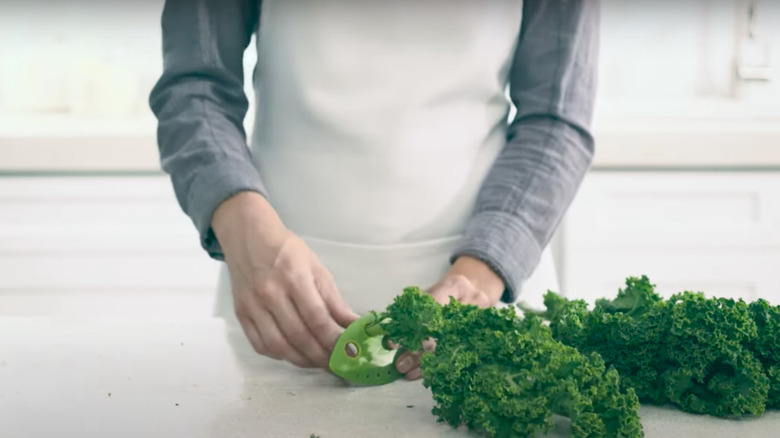 Destemming kale with leaf stripper