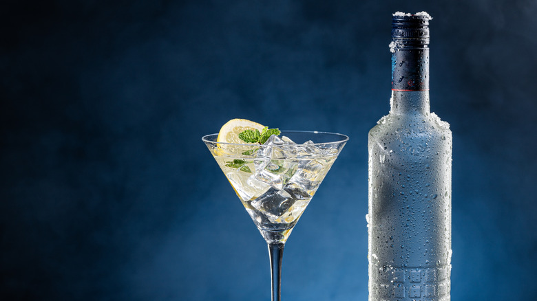 A vodka martini and a bottle.