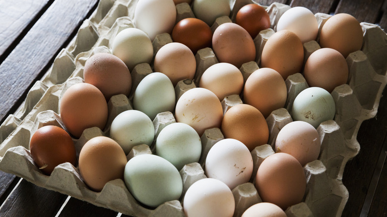 Eggs of all different colors and shapes sit in an open carton on a wooden surface