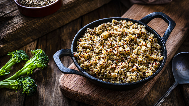 quinoa plant