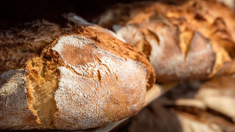 Crusty loaves of bread