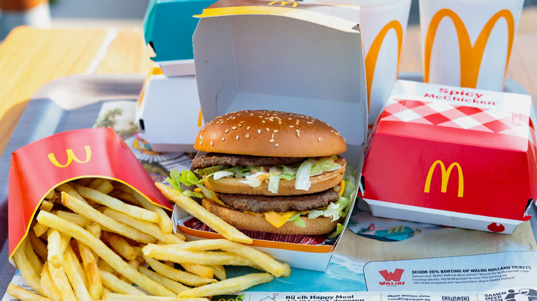 McDonald's Big Mac on a tray with fries