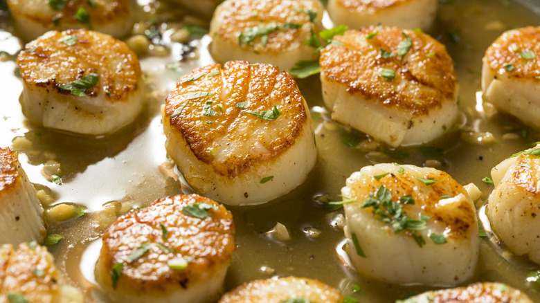 pan seared scallops in a garlic butter sauce