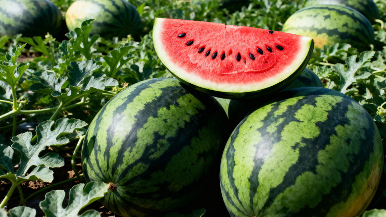 A sliced watermelon with visible seeds.